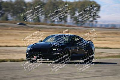 media/Nov-24-2023-Speed SF (Fri) [[8629a6e656]]/Blue/Grid and Front Straight/